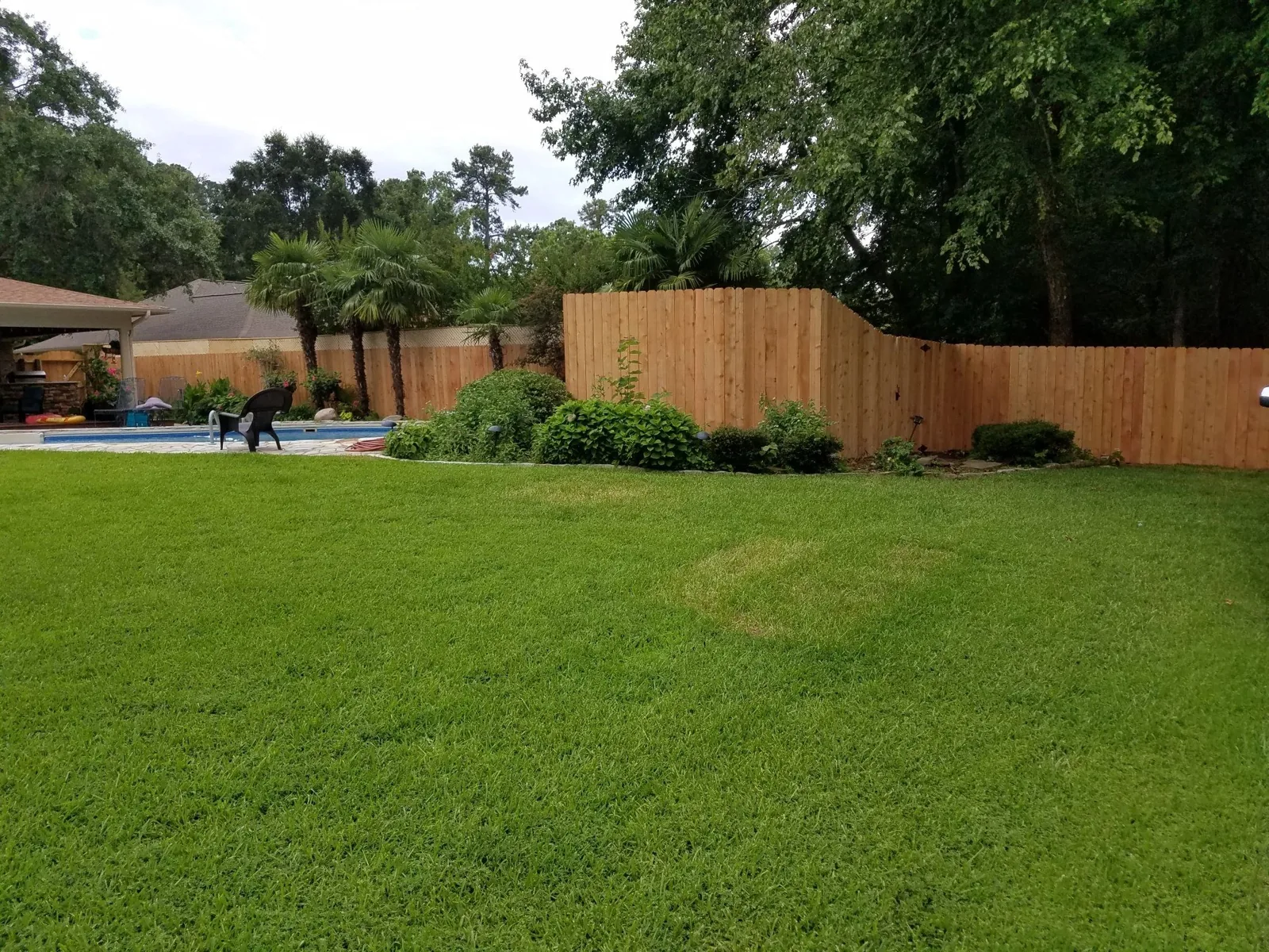 Wood privacy fence enclosing a landscaped backyard